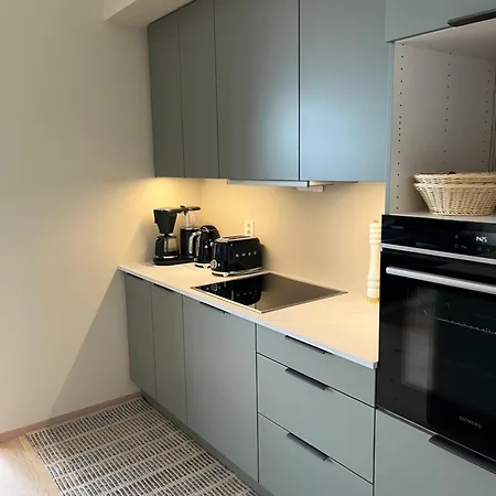 Appartamento Modern Spacious In Ski, 11min To Oslo *