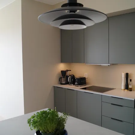 Modern Spacious In Ski, 11min To Oslo Siggerud (Akershus)